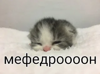 Стикер piece of me х_х - 2