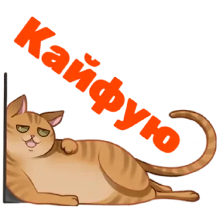 Стикер Мои стикеры - 10