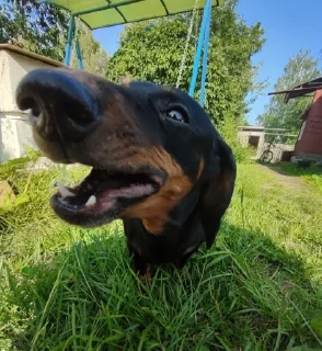 Sticker Создать стикеры|@EmojiRuBot - 10