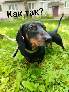 Sticker Создать стикеры|@EmojiRuBot - 2