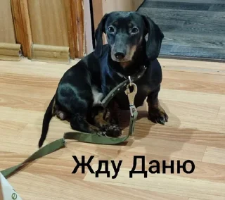 Sticker Создать стикеры|@EmojiRuBot - 4