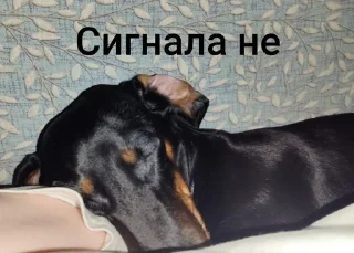 Sticker Создать стикеры|@EmojiRuBot - 11