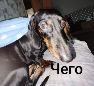 Sticker Создать стикеры|@EmojiRuBot - 7