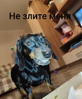 Sticker Создать стикеры|@EmojiRuBot - 8