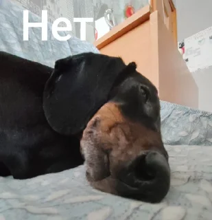 Sticker Создать стикеры|@EmojiRuBot - 1