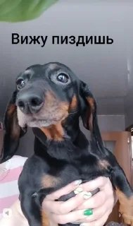 Sticker Создать стикеры|@EmojiRuBot - 5