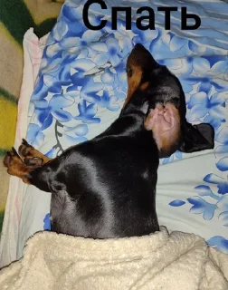 Sticker Создать стикеры|@EmojiRuBot - 6