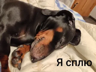 Sticker Создать стикеры|@EmojiRuBot - 9