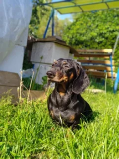 Sticker Создать стикеры|@EmojiRuBot - 3