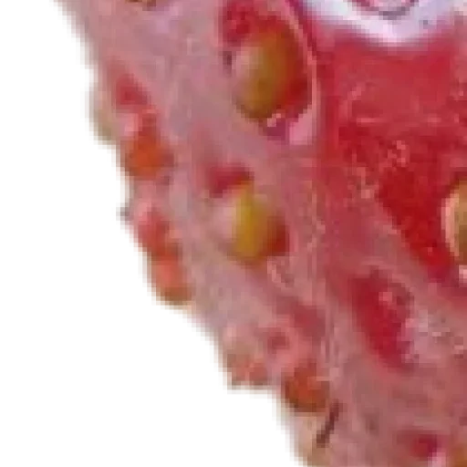 Sticker pBbRfxs_by_achestickbot - 1