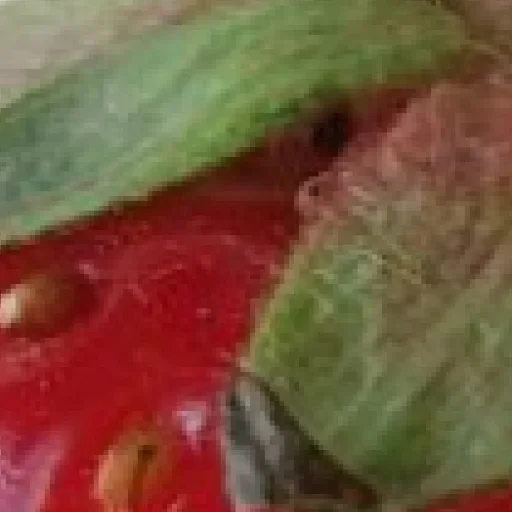 Стикер pBbRfxs_by_achestickbot - 1