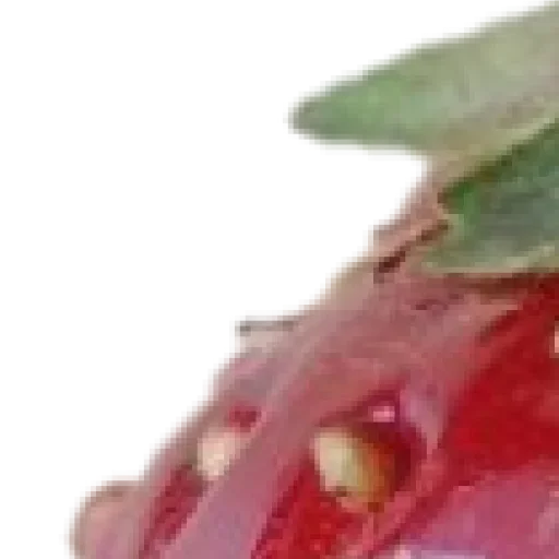 Sticker pBbRfxs_by_achestickbot - 1