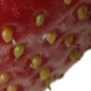 Sticker Больше стиков тут: @stikery4 - 6