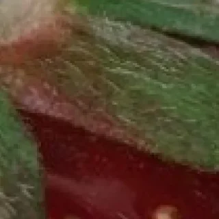 Sticker Больше стиков тут: @stikery4 - 10