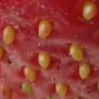 Sticker Больше стиков тут: @stikery4 - 2