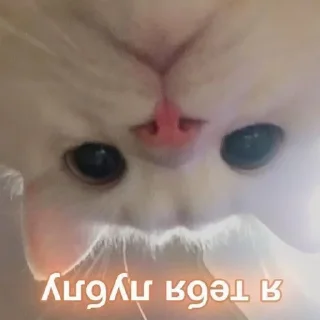 Sticker Больше стиков тут: @stikery4 - 8