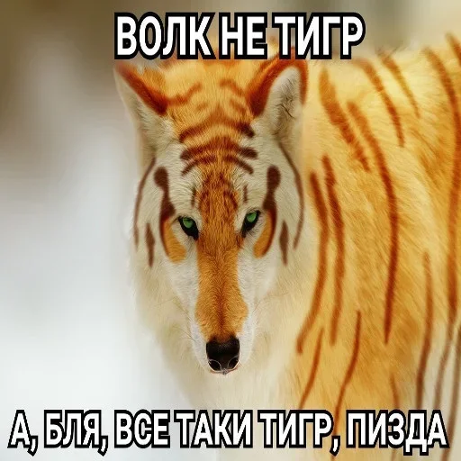 Больше стиков тут: @stikiin - 