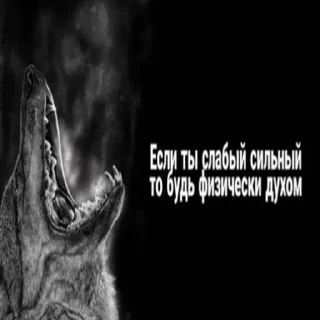 Sticker Больше стиков тут: @stikiin - 1