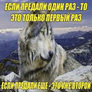 Sticker Больше стиков тут: @stikiin - 9