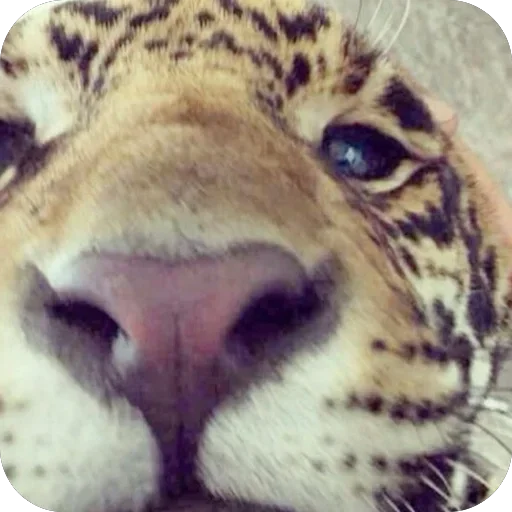 Больше стиков тут: @stikery4 - 