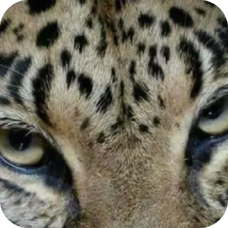 Sticker Больше стиков тут: @stikery4 - 1