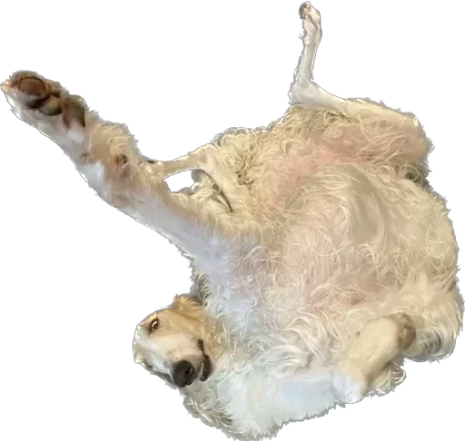 Sticker pPwXZsO_by_achestickbot - 1