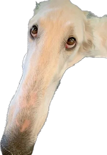 Больше стиков тут: @stikery4 - 