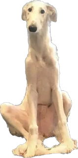 Sticker Больше стиков тут: @stikery4 - 5