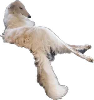 Sticker Больше стиков тут: @stikery4 - 7