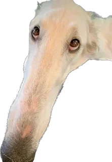 Sticker Больше стиков тут: @stikery4 - 6