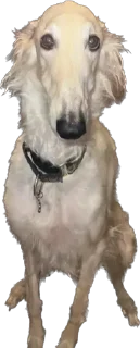 Sticker Больше стиков тут: @stikery4 - 1