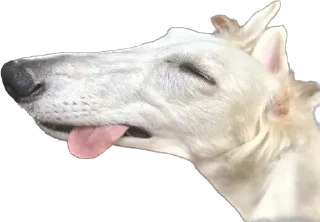 Sticker Больше стиков тут: @stikery4 - 9