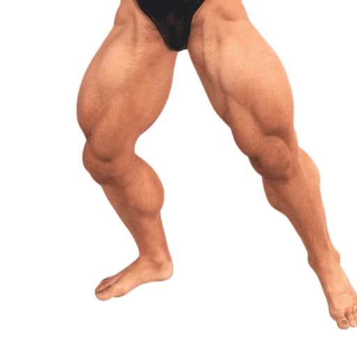 мышца физическая подготовка сустав