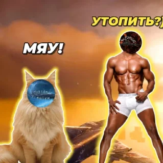 Стикер цитаты эМВэширов (ALPHA) - 10