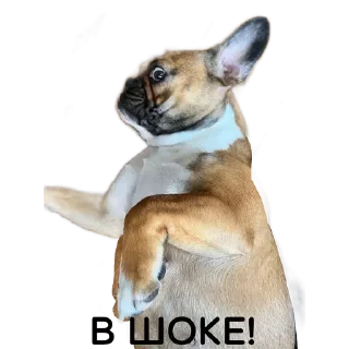 Sticker Собакен - 8