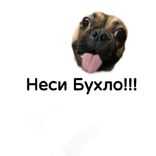 Sticker Собакен - 2