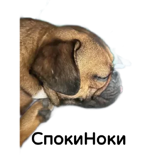 Sticker Собакен - 1