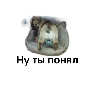 Sticker Собакен - 0