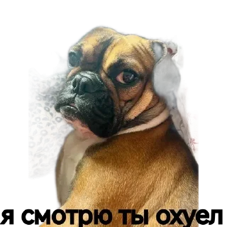 Sticker Собакен - 4