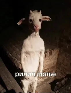 Sticker Больше стикеров 👉🏻 @stickertg4 - 10