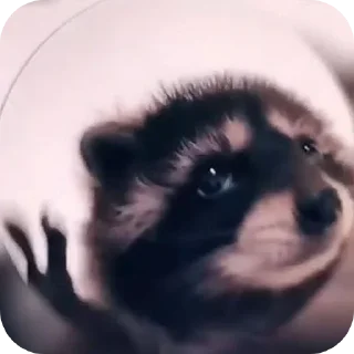 Стикер 🗿🙃 пабг - 2