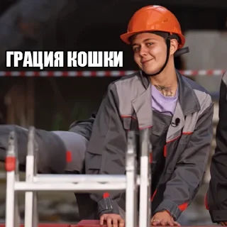 Sticker Pacanki8 - 11