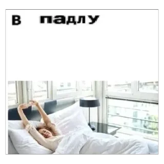 Sticker ксайлисовские стикеры - 11