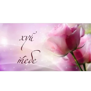 Sticker ксайлисовские стикеры - 7