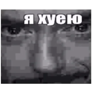 Sticker ксайлисовские стикеры - 4