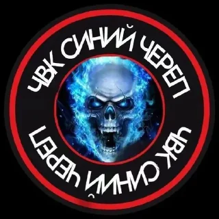 Стикер Синий череп @sozdsti_bot - 10