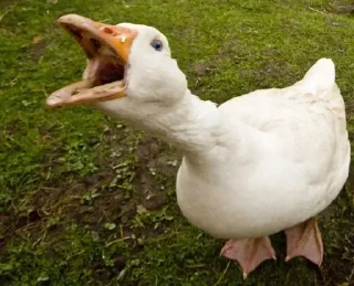 Стикер Создано в @sozdsti_bot - 7