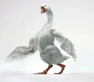 Стикер Создано в @sozdsti_bot - 9