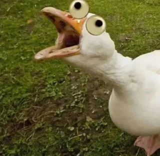 Стикер Создано в @sozdsti_bot - 6