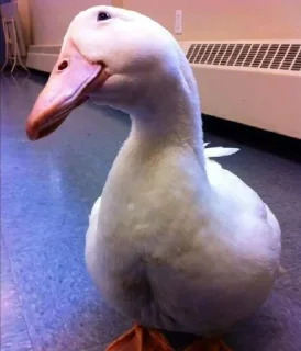 Стикер Создано в @sozdsti_bot - 4